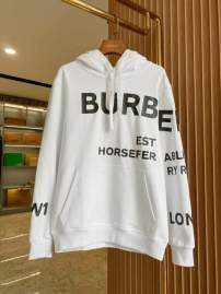 Picture of Burberry Hoodies _SKUBurberryS-2XLaztx86091838